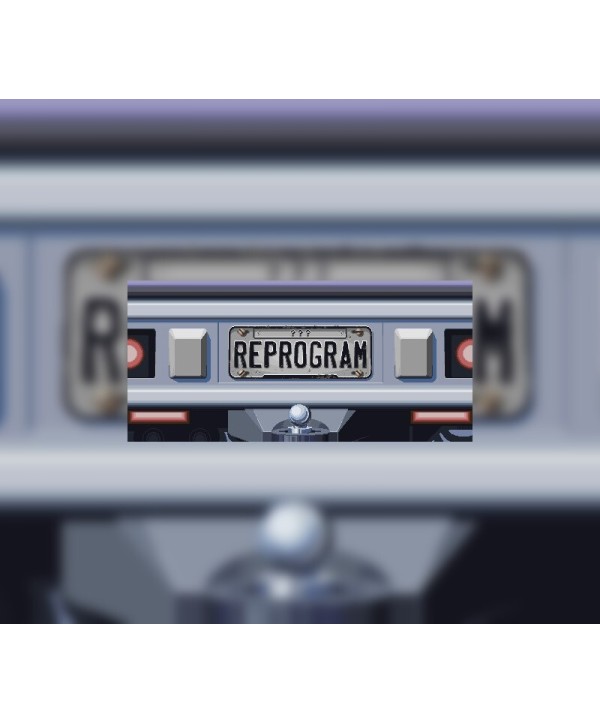 Reprogram Steam Key GLOBAL